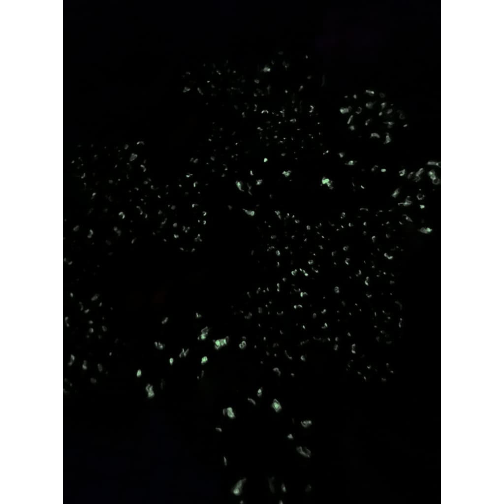 Homemade Glowing hair accessory Arts & Crafts